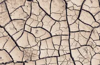 乾燥肌改善マニュアル|洗顔・保湿スキンケアとユベラ錠(ビタミンE)活用法