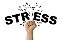 ストレスが体に与える影響と解消法|症状・発散方法・生活習慣改善ガイド