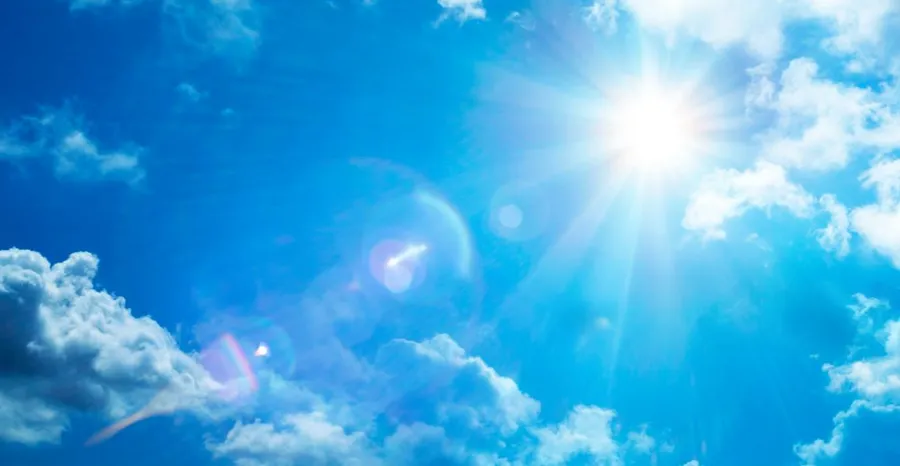 夏季に皮脂分泌が増える理由とは?