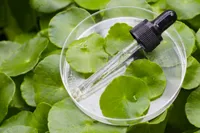 今話題のシカ成分とは?シカの効果とニキビ・肌荒れ改善ガイド