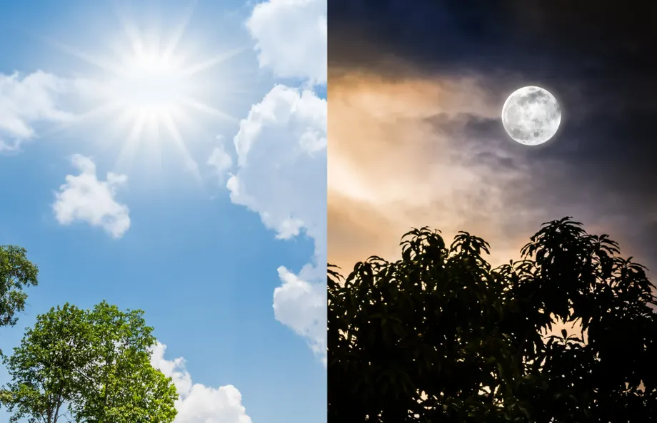 朝と夜、運動するならどっち?ダイエットに効果的な時間帯とは
